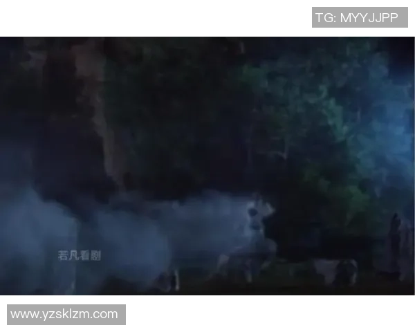 533对决9加2的精彩较量与背后故事解析
