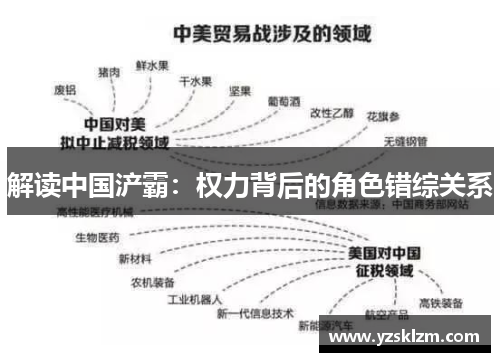 解读中国浐霸：权力背后的角色错综关系