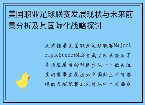 美国职业足球联赛发展现状与未来前景分析及其国际化战略探讨