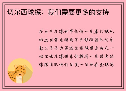 切尔西球探：我们需要更多的支持